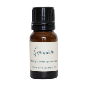 Geranium | Pelargonium graveolens